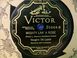 small_victor 20664 b.webp